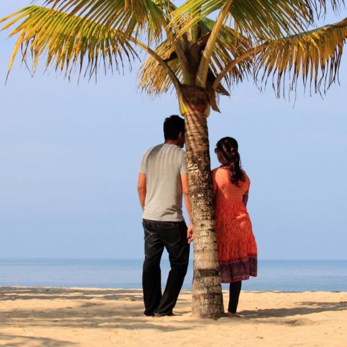 Honeymoon Travel – South India